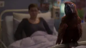 Backdrop to the movie "Tuesday" #532804