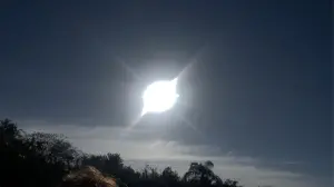 Backdrop to the movie "The Disney Trip" #504665