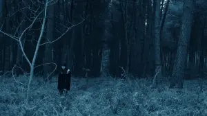 Backdrop to the movie "Void Madness" #777984
