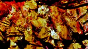 Backdrop to the movie "Lovesong" #721064