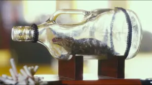 Backdrop to the movie "Antiporno" #265015