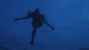 Backdrop to the movie "Jaws" #521058