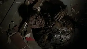 Backdrop to the movie "Friday the 13th Part VII: The New Blood" #893316