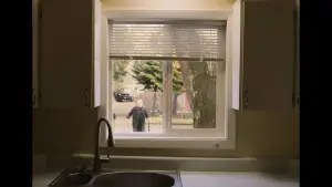 Backdrop to the movie "So Long, Farewell" #782400