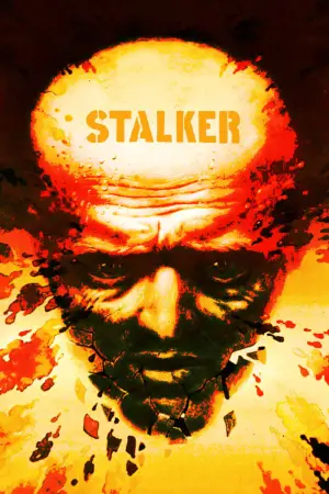 Poster to the movie "Stalker" #734163