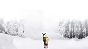 Backdrop to the movie "Albany Road" #738852