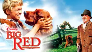 Backdrop to the movie "Big Red" #743544