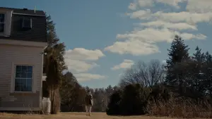 Backdrop to the movie "Sorry, Baby" #523511