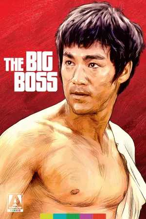Poster to the movie "The Big Boss" #237947