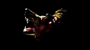 Backdrop to the movie "The Company of Wolves" #379114