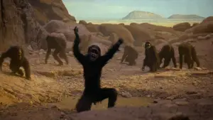 Backdrop to the movie "2001: A Space Odyssey" #565331