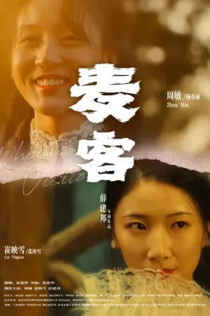 Poster to the movie "麦客" #465020