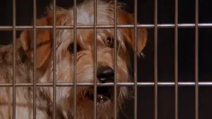 Backdrop to the movie "Fluke" #423485