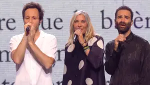 Backdrop to the movie "Les Enfoirés 2024 - On a 35 ans !" #409392