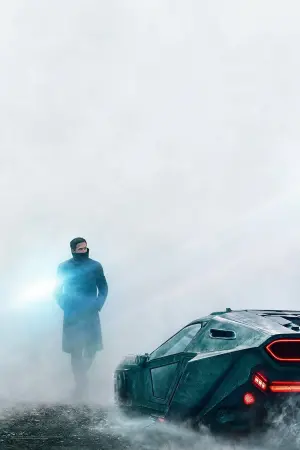 Poster to the movie "Blade Runner 2049" #162357