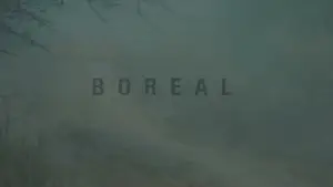 Backdrop to the movie "Boreal" #792174