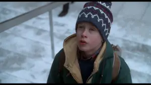 Backdrop to the movie "Home Alone 2: Lost in New York" #567409