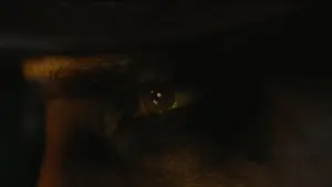 Backdrop to the movie "The Batman" #747711