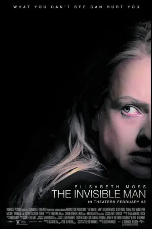 Poster to the movie "The Invisible Man" #670830
