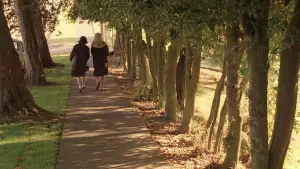 Backdrop to the movie "Twin Peaks: Fire Walk with Me" #643176