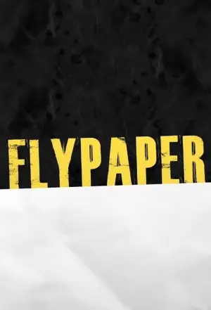 Poster to the movie "Flypaper" #152953