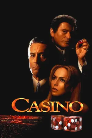 Poster to the movie "Casino" #751149