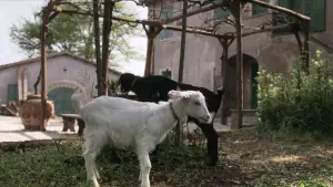 Backdrop to the movie "I Don