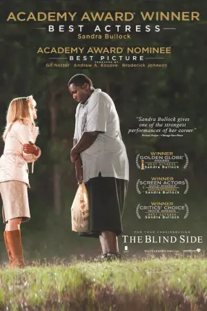 Poster to the movie "The Blind Side" #49191