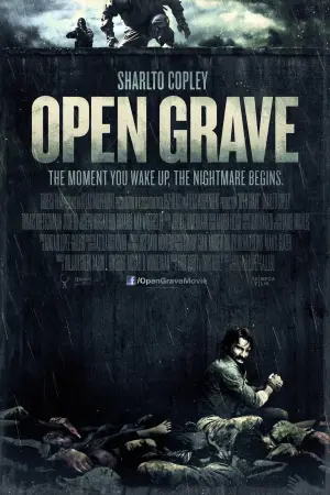 Poster to the movie "Open Grave" #346544