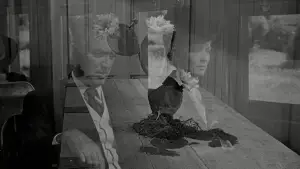 Backdrop to the movie "The Man Who Shot Liberty Valance" #754013