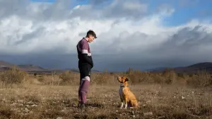 Backdrop to the movie "Junkyard Dog" #355132