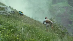 Backdrop to the movie "Call Me by Your Name" #595876