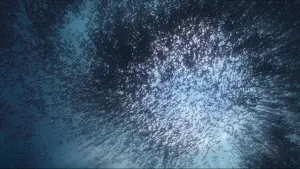 Backdrop to the movie "Epic" #722063