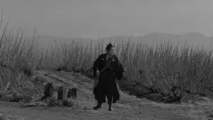 Backdrop to the movie "Yojimbo" #675084