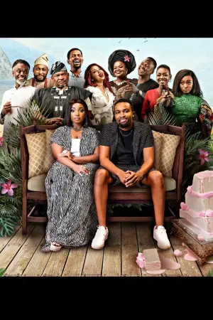 Poster to the movie "Disconnect: The Wedding Planner" #415389