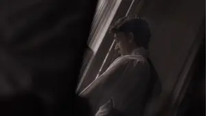 Backdrop to the movie "Last Flamingo of the Red Summer Sunset" #759031