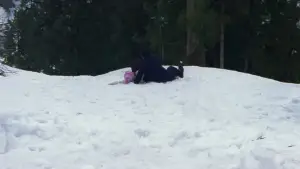 Backdrop to the movie "Fireworks" #710947