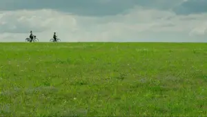 Backdrop to the movie "Jojo Rabbit" #625522