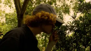 Backdrop to the movie "REELs" #715854