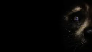 Backdrop to the movie "Guardians of the Galaxy Vol. 3" #560459