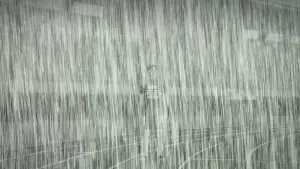 Backdrop to the movie "100 METERS" #553788