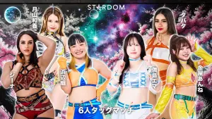 Backdrop to the movie "Stardom Nighter in Korakuen 2026 Mar.2" #792011