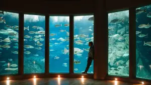 Backdrop to the movie "Leo & Lou" #802089