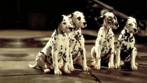 Backdrop to the movie "101 Dalmatians" #803634