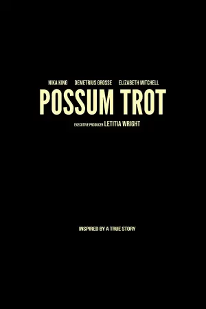 Poster to the movie "Sound of Hope: The Story of Possum Trot" #533382