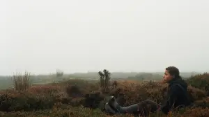 Backdrop to the movie "Wuthering Heights" #396670