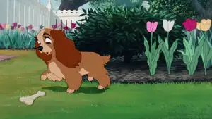 Backdrop to the movie "Lady and the Tramp" #807750
