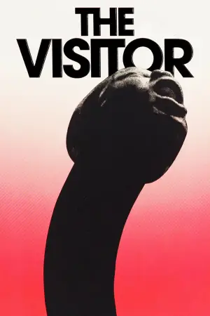Poster to the movie "The Visitor" #756936