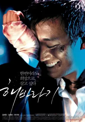Poster to the movie "Sunflower" #922755