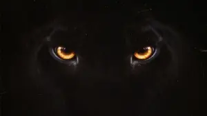 Backdrop to the movie "Diabolik - Who Are You?" #468839